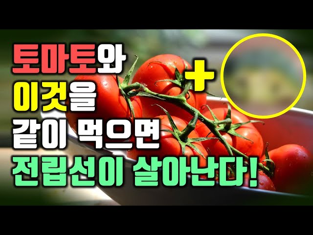  전립선에 좋은 음식 VS나쁜 음식