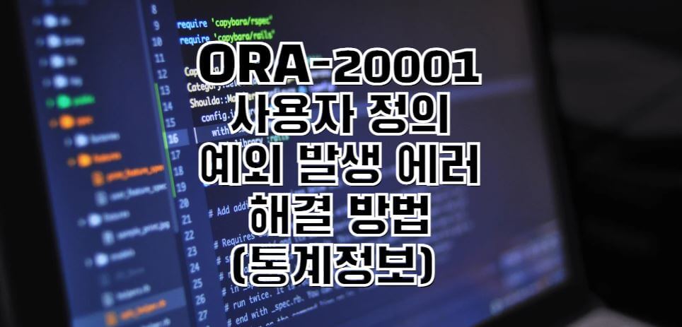 ORA-20001-에러해결방법-썸네일