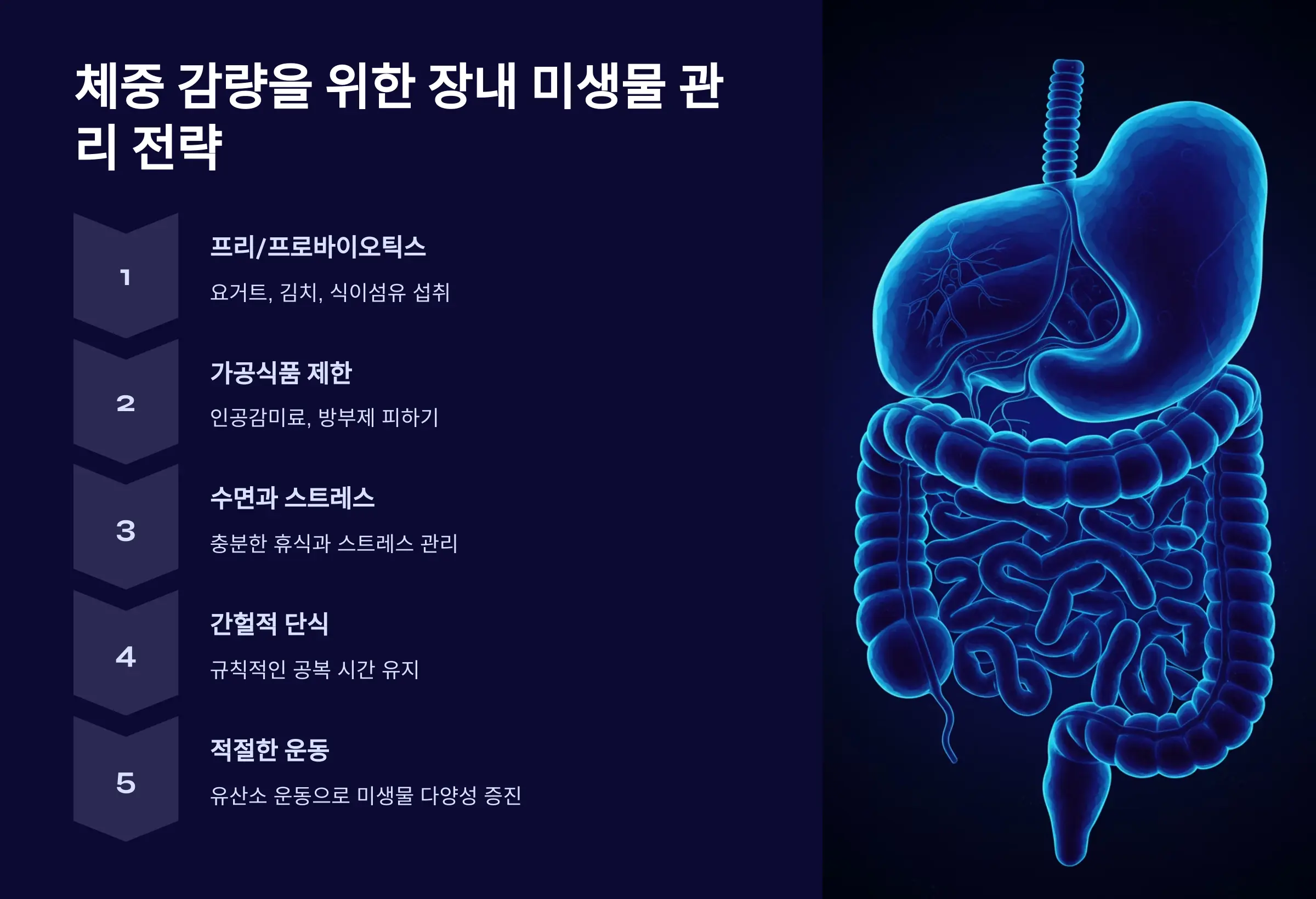 체중 감량을 위한 장내 미생물 관리 전략