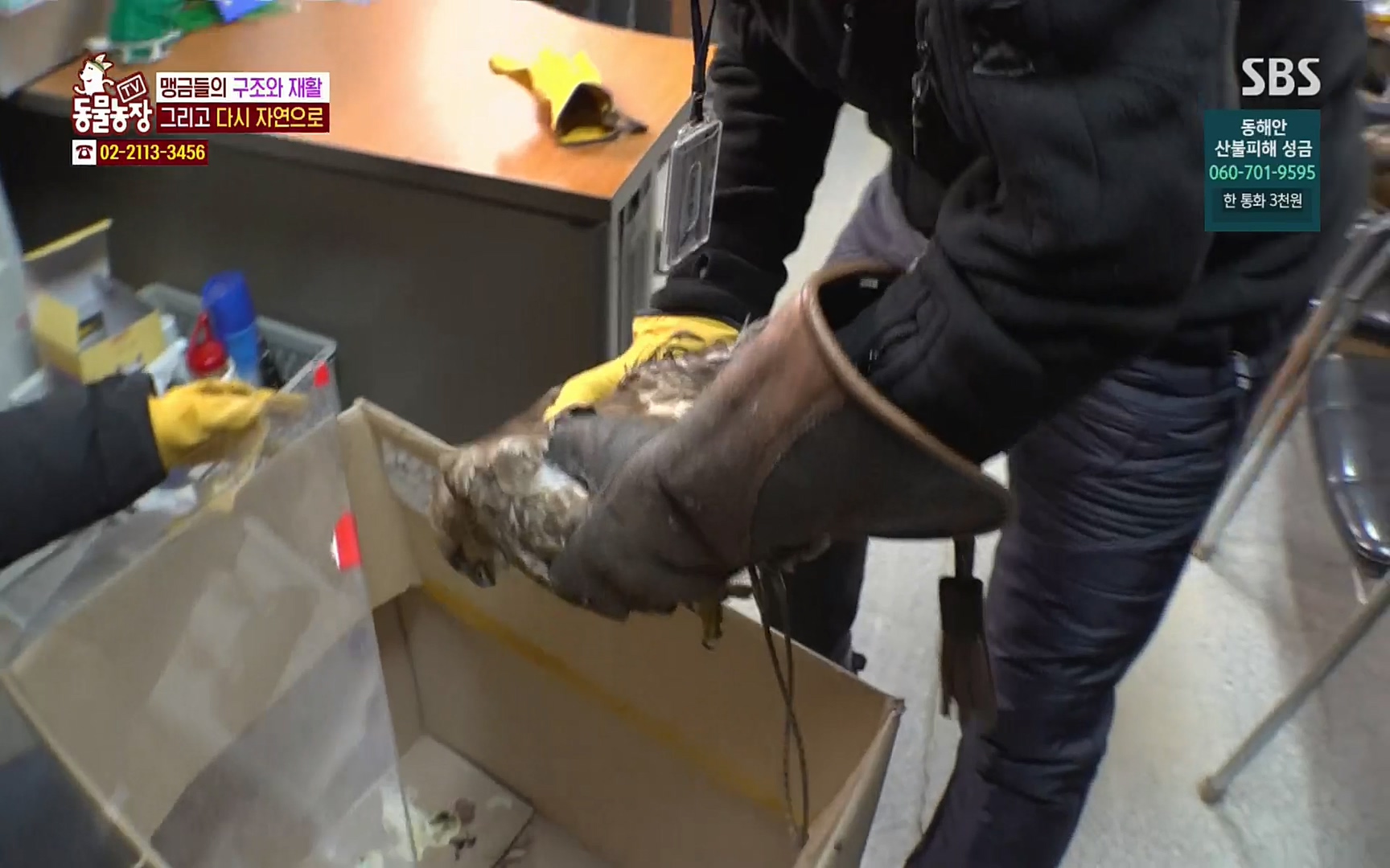 TV 동물농장.E1061.220320p.H264-F1RST.mp4_20220320_183604.118.jpg
