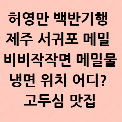  허영만 백반기행 제주 서귀포 메밀 비비작작면 메밀물냉면 위치 어디? 고두심 맛집