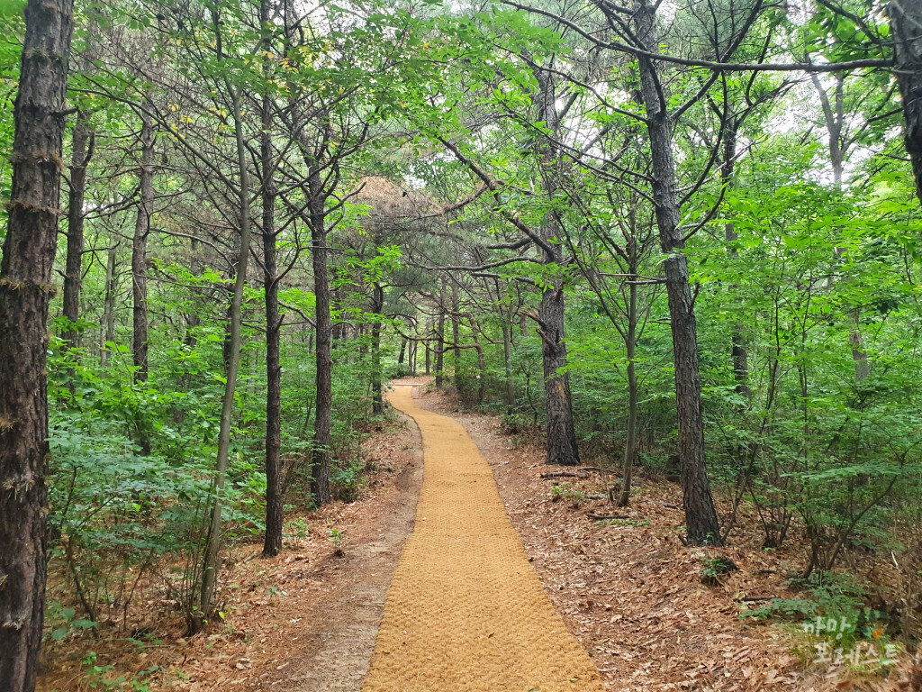 칠보산 등산로