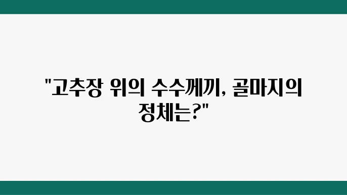 고추장 위 흰색 막, 곰팡이가 아닌 '골마지'의 정체