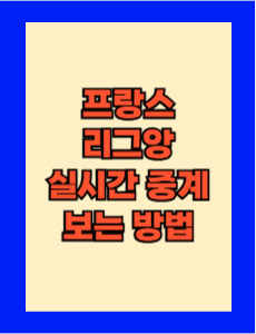 프랑스 리그앙 실시간 중계 보는 방법 총정리! 무료로 보는 방법도?