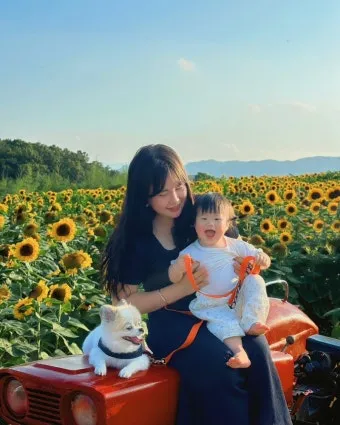 7월 국내 가족여행지 추천 베스트 코스 완벽 가이드_21