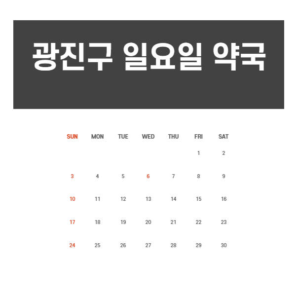  광진구 일요일 약국(공휴일)