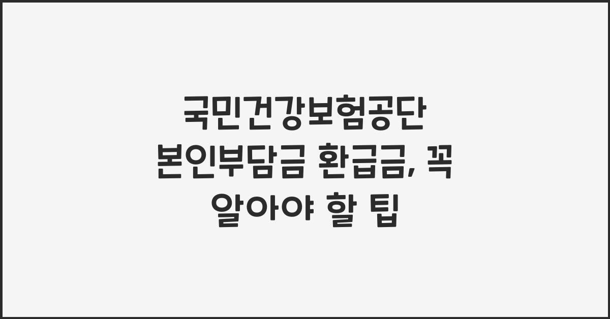 국민건강보험공단 본인부담금 환급금