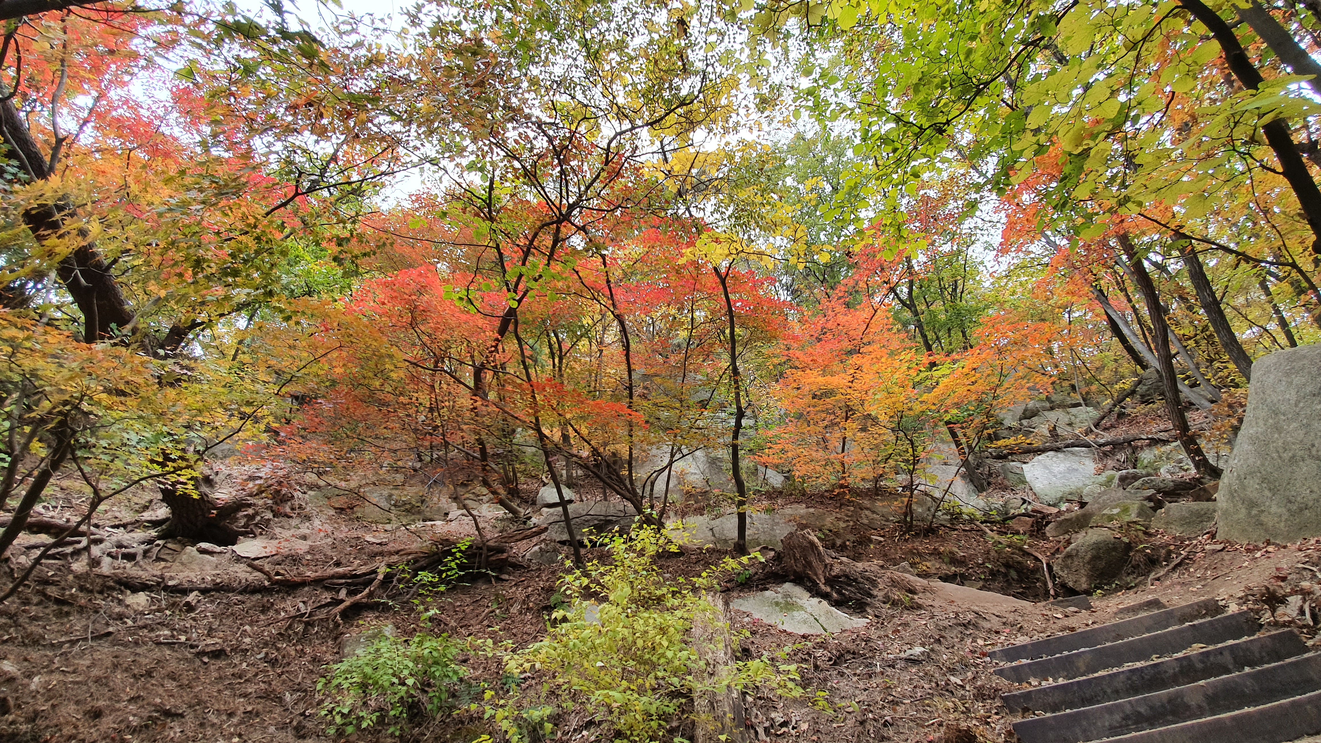 북한산 (2020-10-21) 43