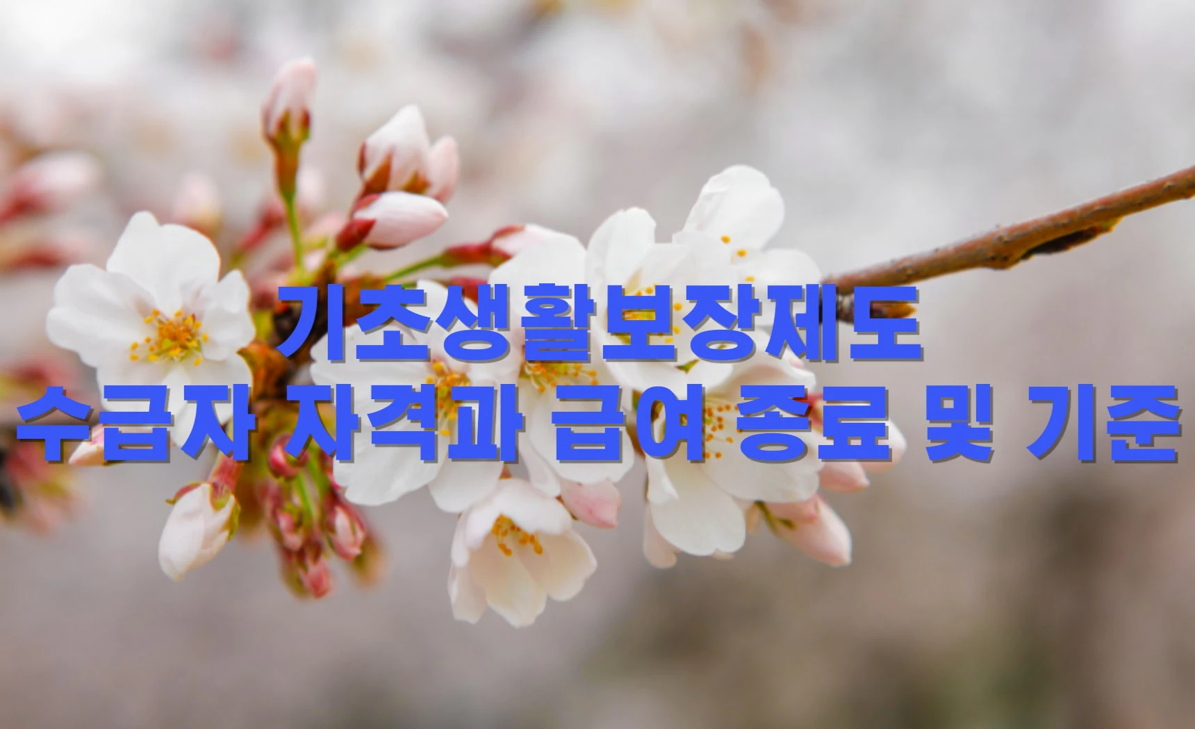 기초생활보장제도