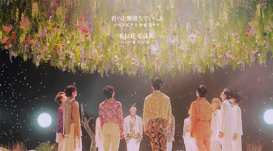 舞い落ちる花びら Fallin Flower