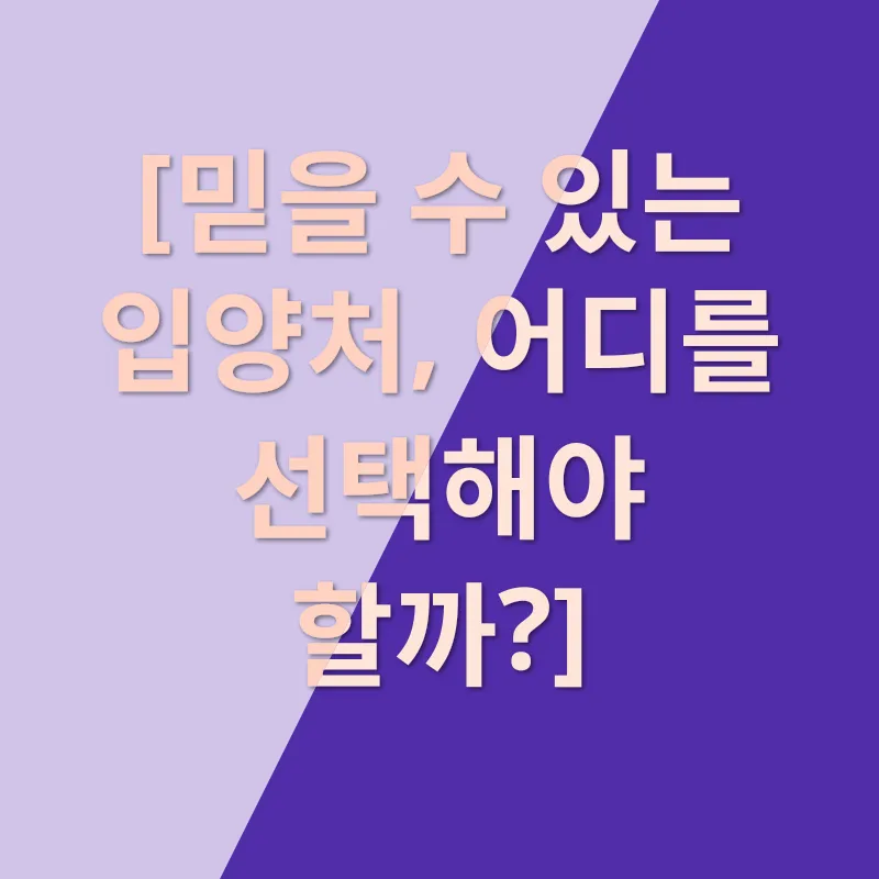 반려견 입양 여정_2