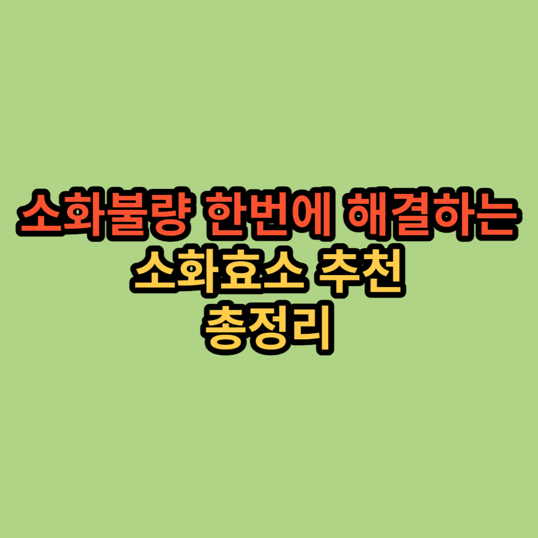  소화효소 추천 총정리(소화불량 소화 영양제)