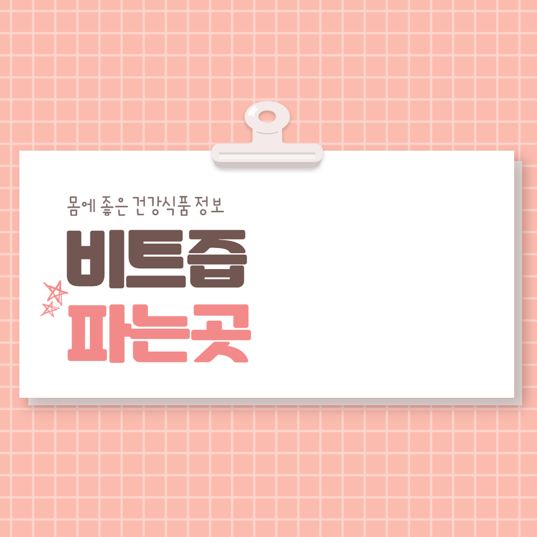  비트즙파는곳 과연