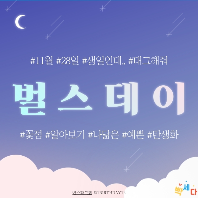  11월 28일은 무슨 날? 탄생화 탄생석 탄생목 11월 28일 탄생화는 과꽃 꽃점과 꽃말로 하루를 행복하게
