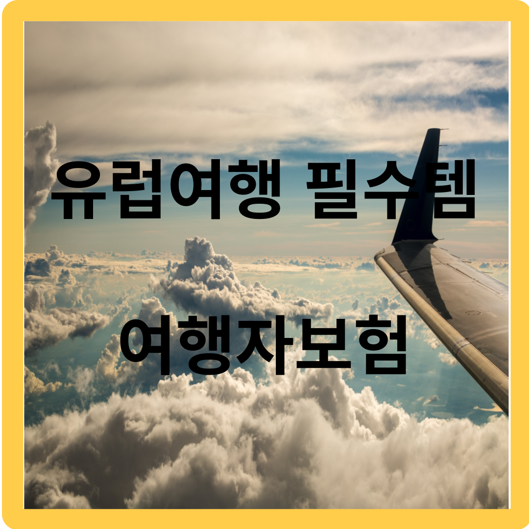 유럽 여행 필수템! 유럽여행자보험, 가입, 주의사항