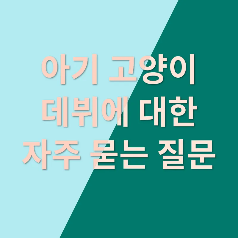 아기 고양이 데뷔 실패_4