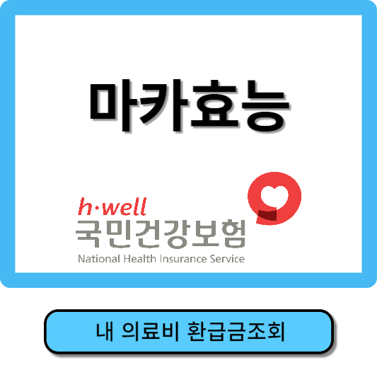 마카효능