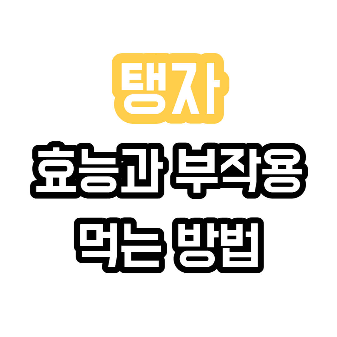 탱자-썸네일