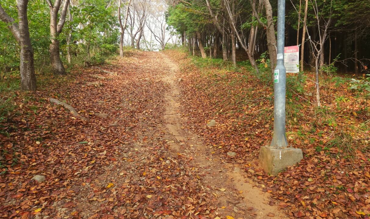 낙엽흙길