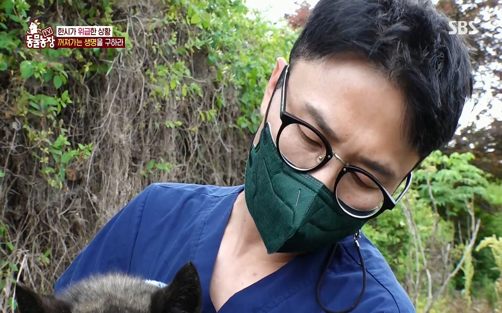 TV 동물농장.E1077.220710p.H264-F1RST.mp4_20220710_175436.182.jpg