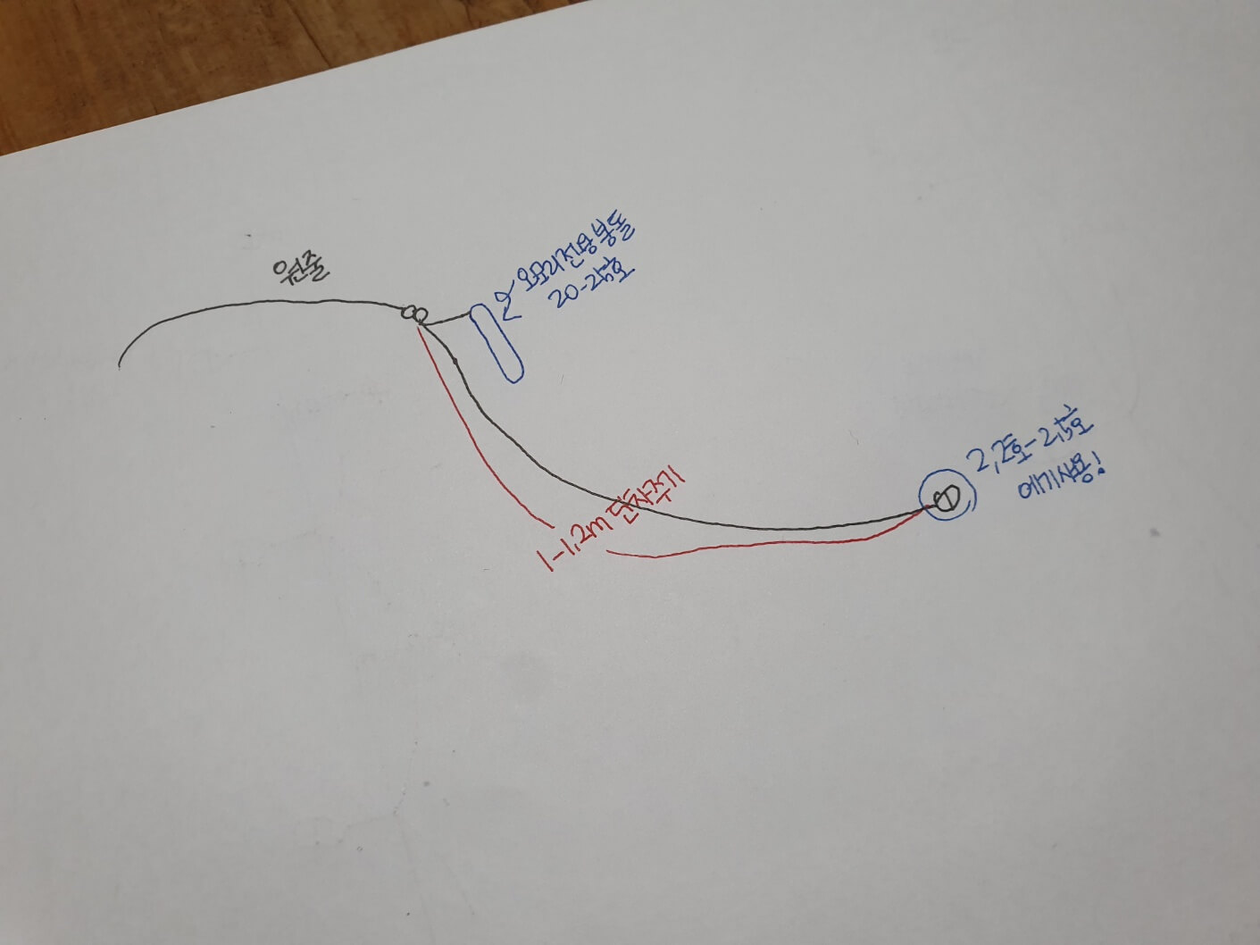 한치 낚싯대 추천 채비 2023 총정리 - 한치란? - 채비방법의 다양화 한치 낚싯대 추천 채비 2023 총정리 - 한치란? - 채비방법의 다양화