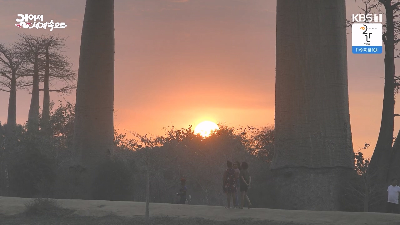 걸어서 세계속으로.E814.231022p-NEXT.mp4_20231022_170322.669.jpg