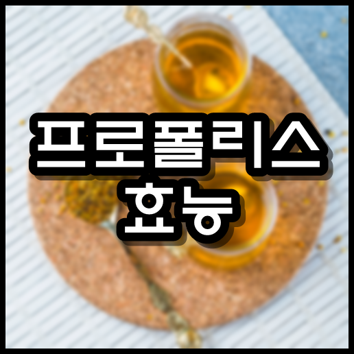  프로폴리스 효능