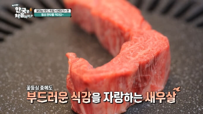 어서와-한국은-처음이지-덴마크편