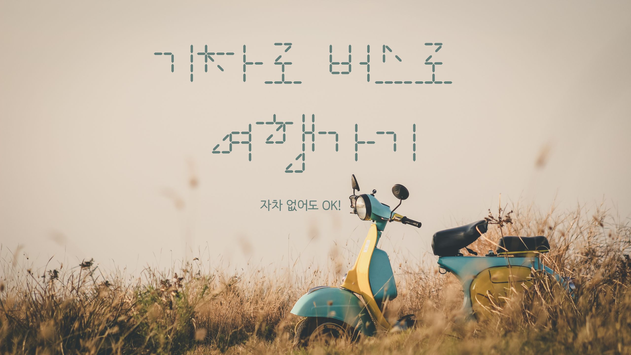 기차 버스만으로 충분한 국내 여행지 TOP 5 - 자차 없어도 OK!
