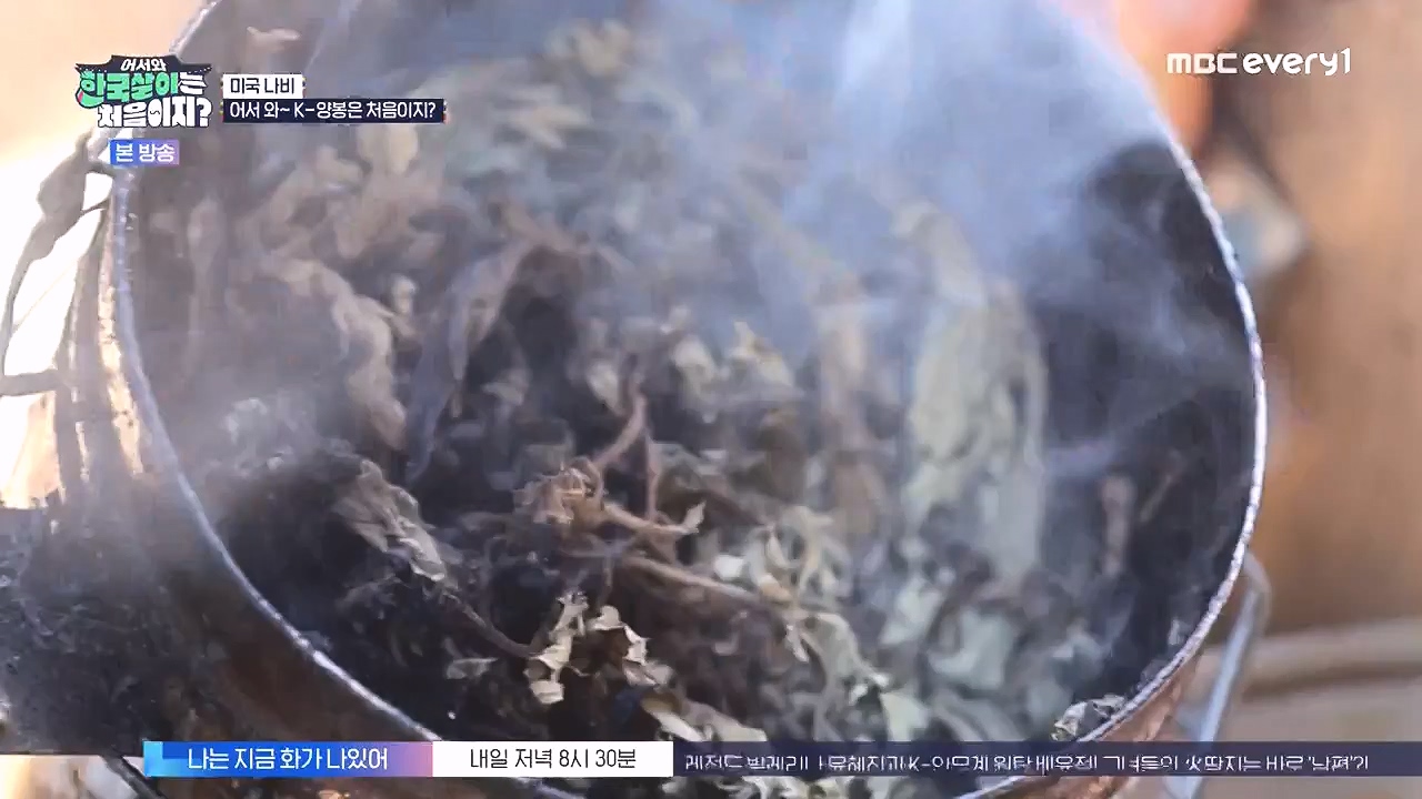 어서와 한국살이는 처음이지.E16.230905p-NEXT.mp4_20230906_204036.158.jpg