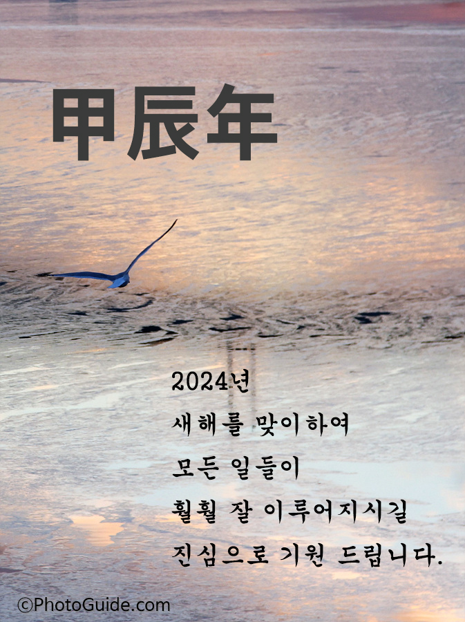 2024-새해-인사-카드-이미지