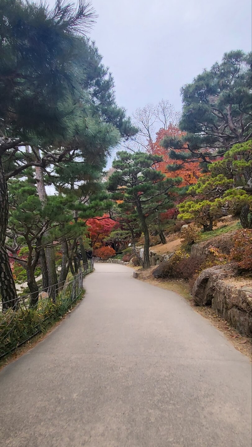 화담숲 내려오는 길