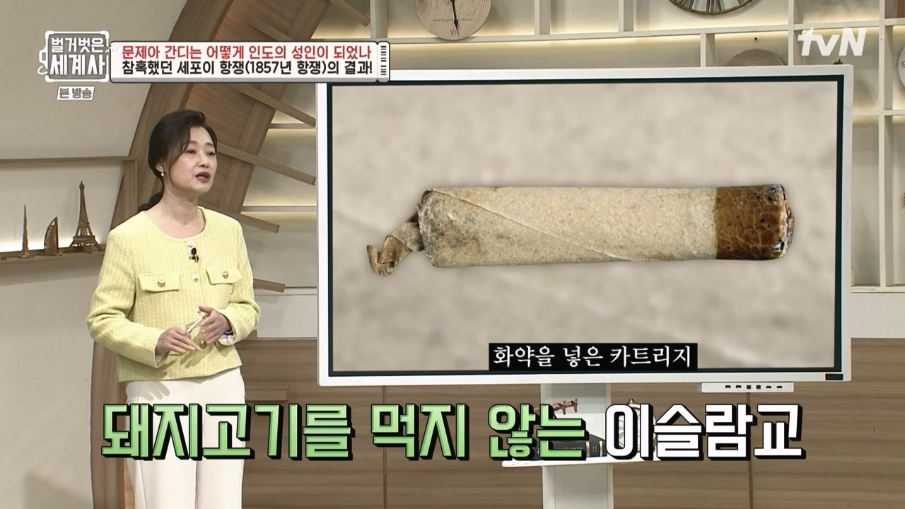 벌거벗은 세계사.E92.230329p-NEXT.mp4_20230425_200036.925.jpg