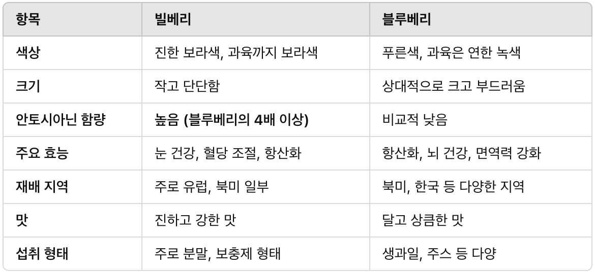 요즘 대세 ‘빌베리’, 눈 건강에 좋은 이유와 효과 100% 보는 팁!