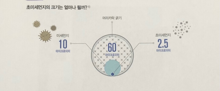  미세먼지 건강에 어떤 영향을 미치나?