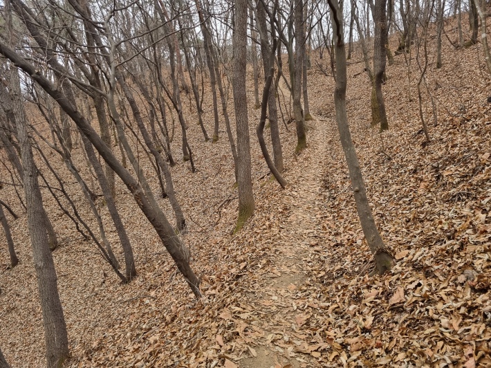 평탄한-능선길