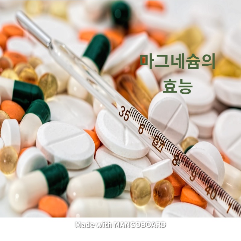  마그네슘 효능에 대해