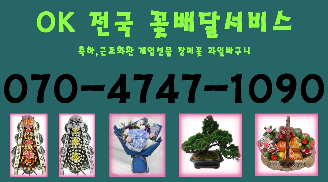  꽃배달 꽃배송 과일바구니 초특급 배송 근조 축하 화환
