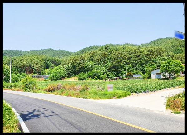 춘양휴게소식당 이미지