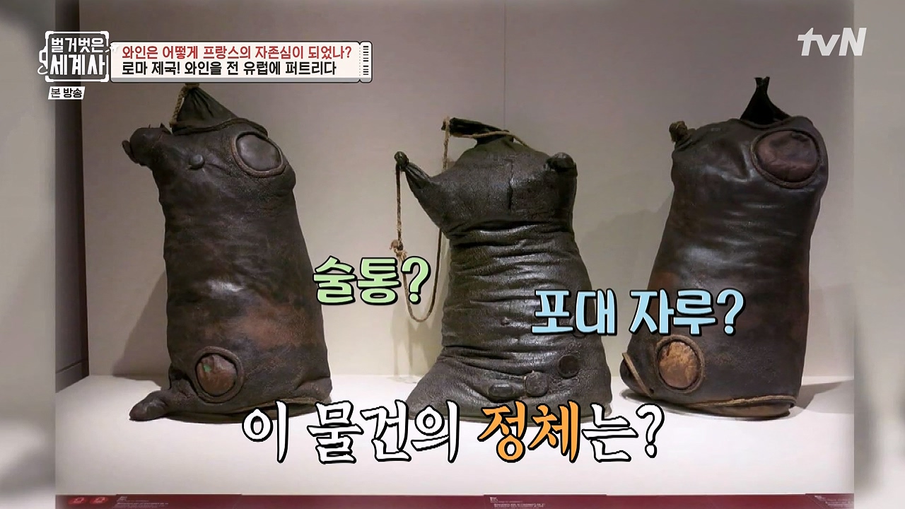 벌거벗은 세계사.E121.231018p-NEXT.mp4_20240518_165524.593.jpg