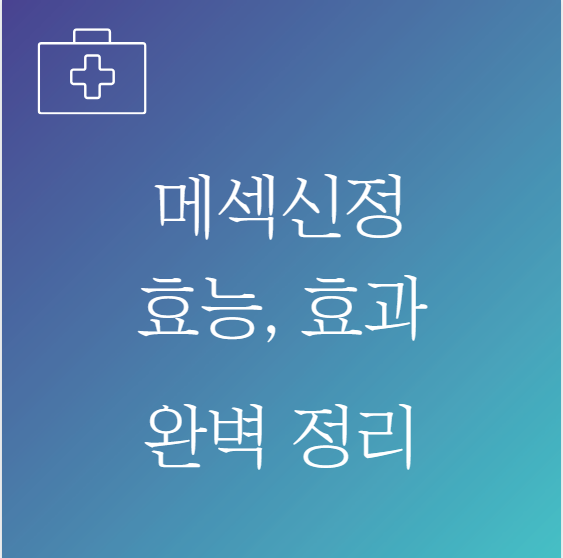 메섹신정