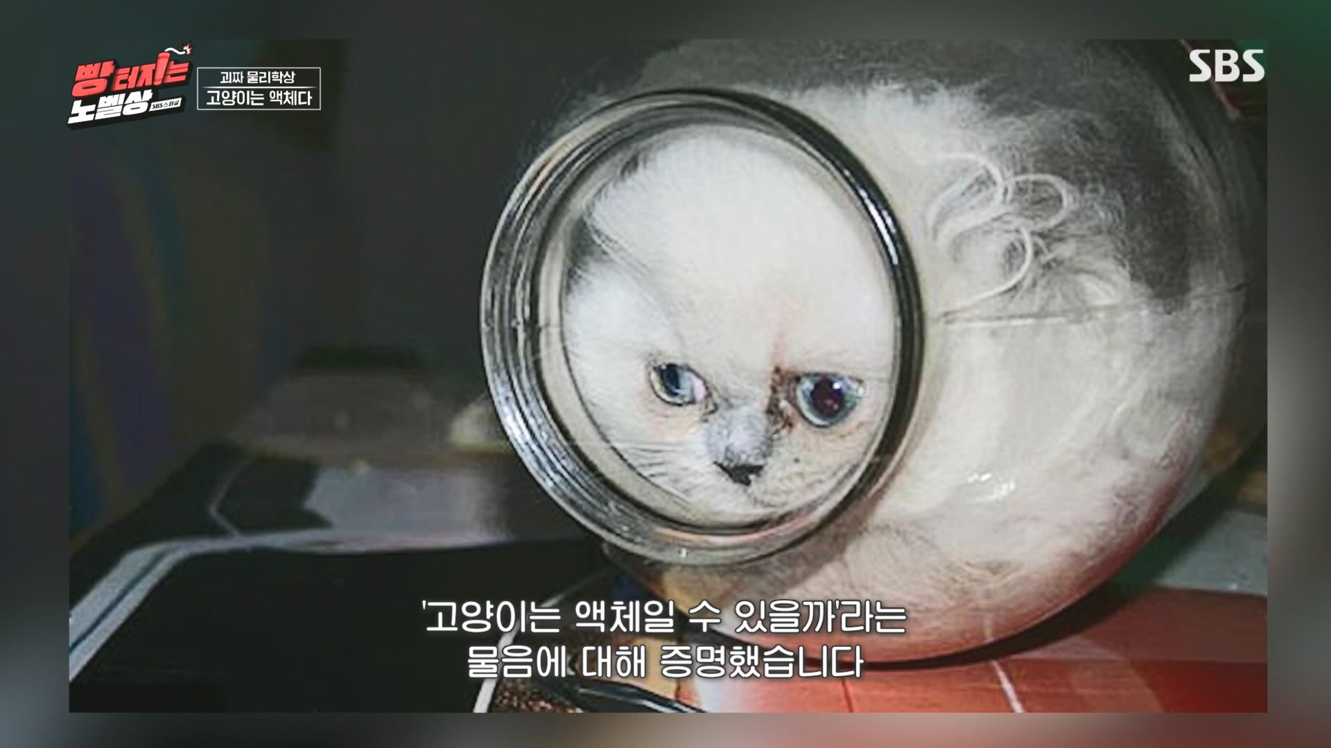 SBS 스페셜.E658.231105p.H264-F1RST.mp4_20231106_201726.309.jpg