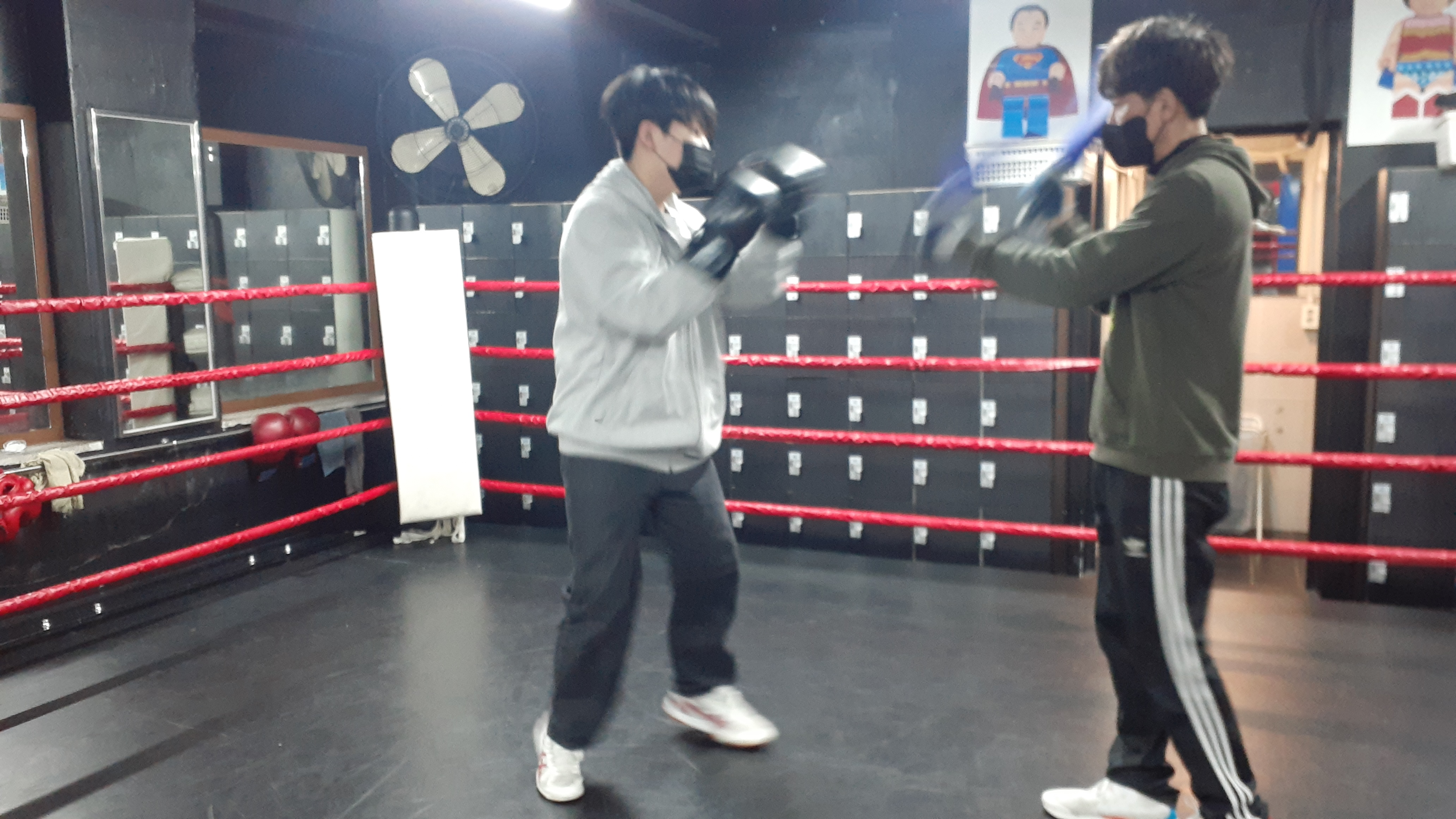 27. 3. 23. 양천구 복싱 대한복싱체육관 신정동 복싱 목동 복싱 신월동 복싱 경찰 무도 자격증 1