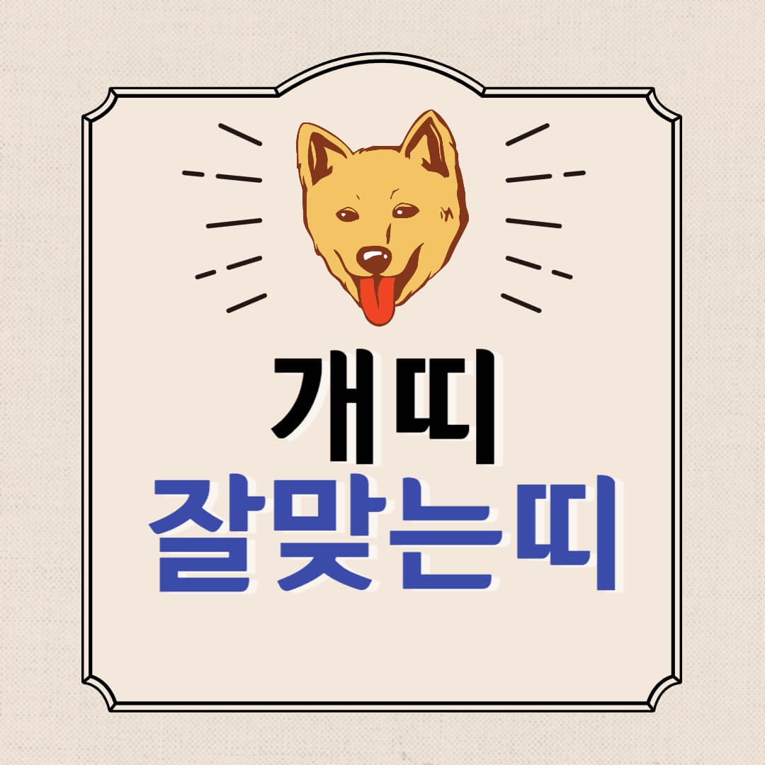  개띠 잘맞는 띠 - 토끼띠, 범띠(호랑이띠), 말띠