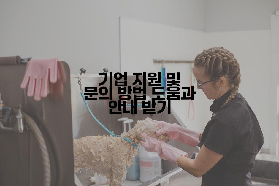 기업 지원 및 문의 방법 도움과 안내 받기