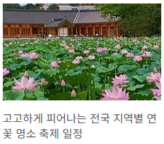 연꽃명소