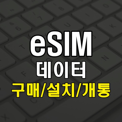 ESIM 데이터 구매 설정 개통