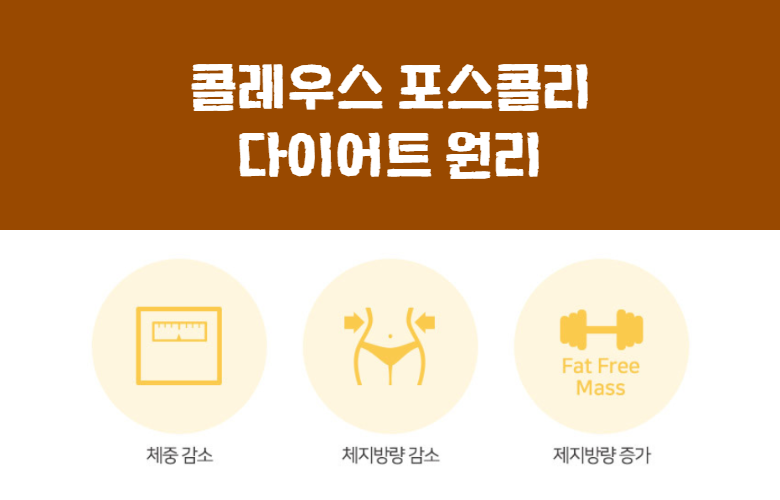 셀룰라이트까지 가능합니다. 궁둥이가 앙상함 4