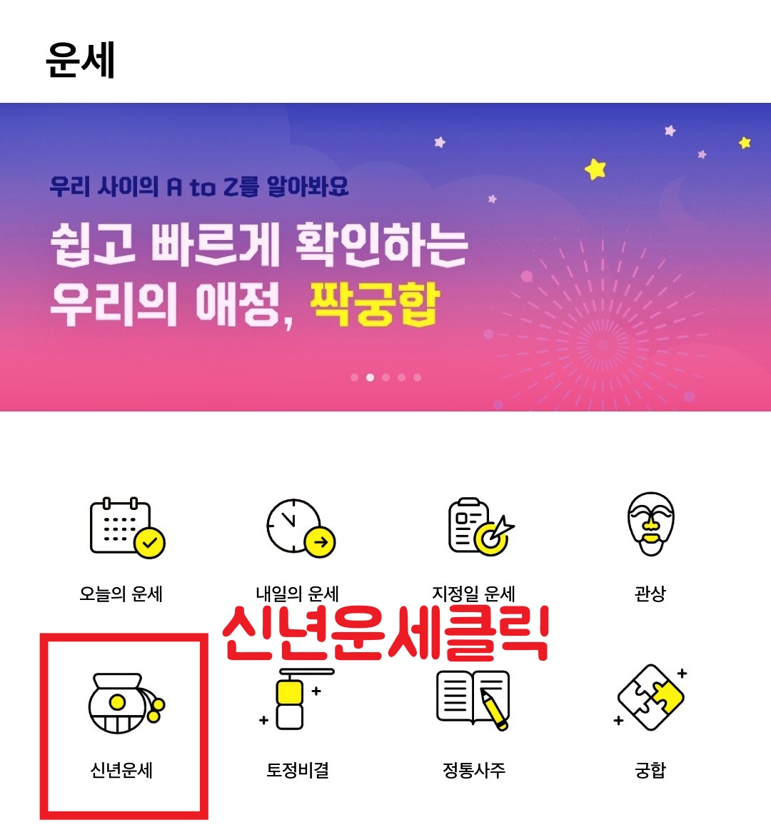 점신신년운세