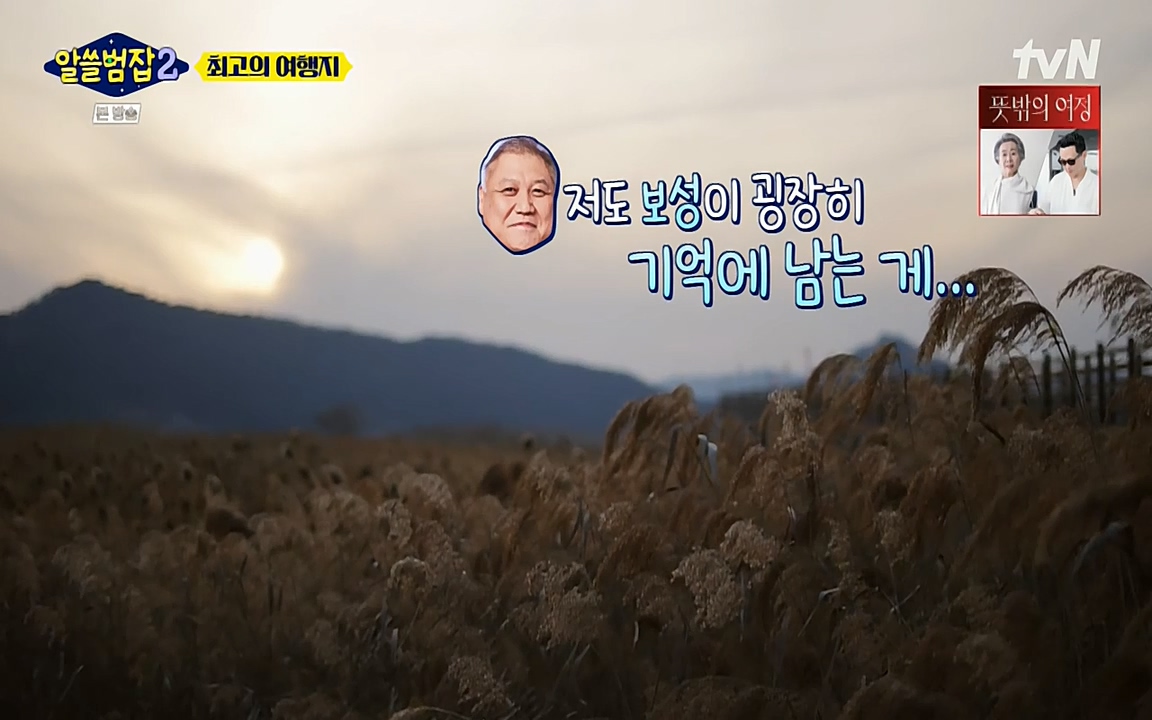 알쓸범잡 2.E16.220502p-NEXT.mp4_20220502_184203.657.jpg